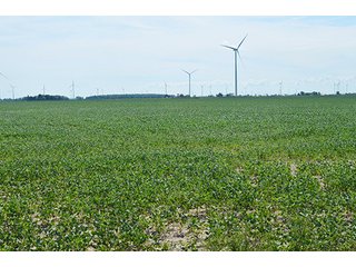 Property photo 17 - 233 +/- Acres Offered in 3 Tracts, Ohio Land Auction